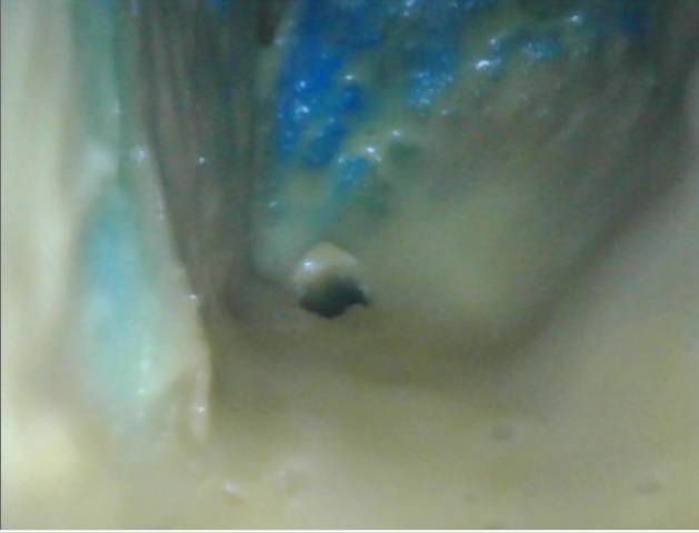 wasserkasten.jpg wasserkasten.jpg